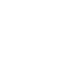 Steyn City